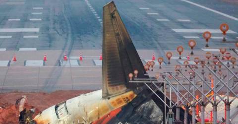 Bird feathers, blood found in both engines of crashed jet in South Korea, source says