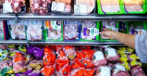 Japan partially suspends poultry imports from Brazil after bird flu outbreak