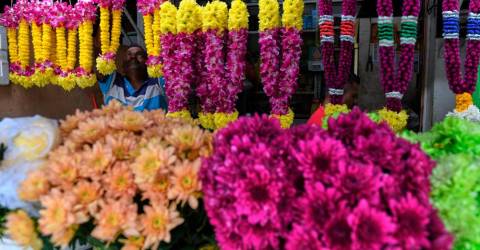 Flower baths: Beneficial ritual or mere myth?
