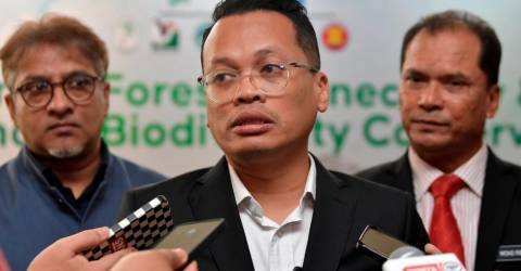 Prompt investigation into cause of Bukit Tinggi Debris floods- Nik Nazmi