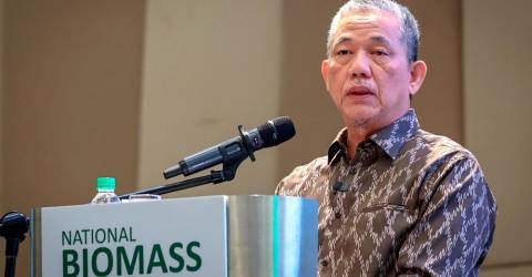 Malaysia can save RM7 billion by using biomass pellets as energy source - DPM Fadillah