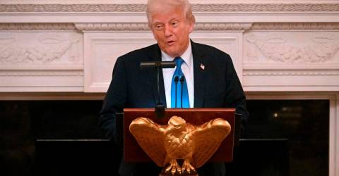 Trump seeks ‘major’ probe of celebs who backed Harris