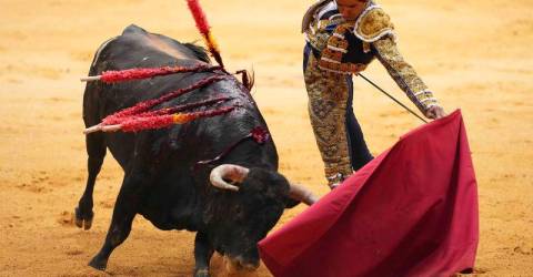 Mexico City considers ban on killing bulls at fights