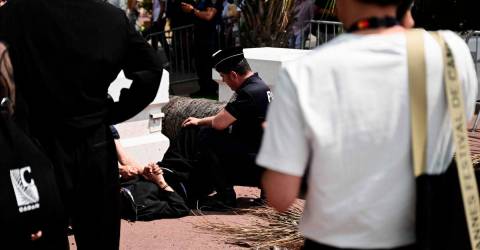 Man badly hurt by falling palm tree at Cannes film festival