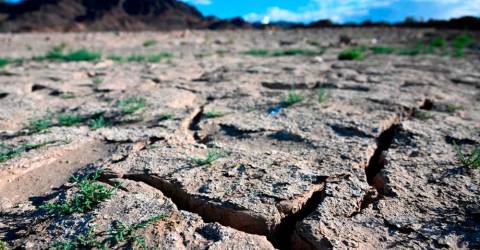 Papar district declared drought disaster area