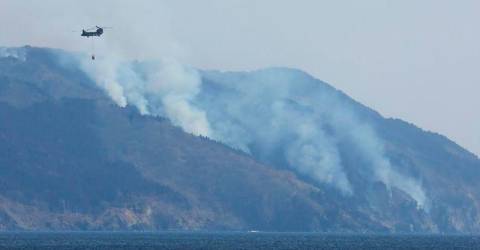Japan deploys nearly 1,700 firefighters to tackle forest blaze