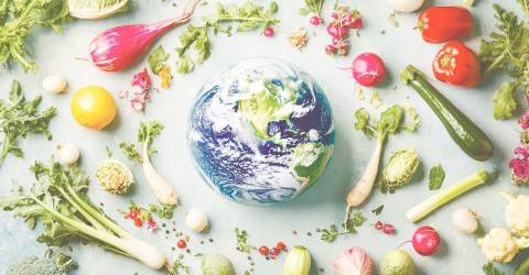 Food security in the face of climate change