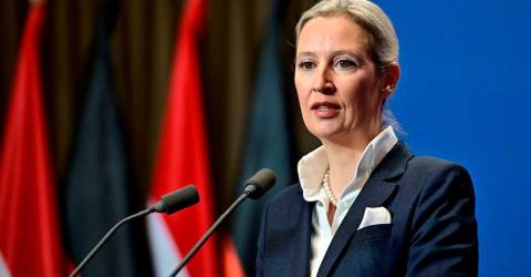 German far-right leader is a Chinese-speaking economist with foreign partner