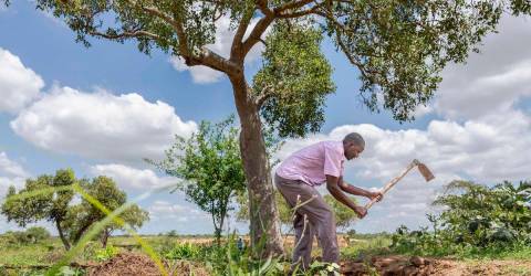Can cash handouts replace aid? Kenya offers some answers