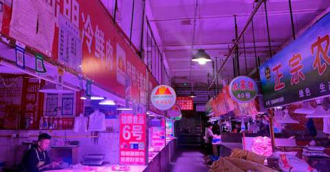 China’s murky bankruptcies expose hazards for foreign investors