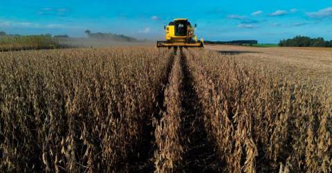 Anxious: US farmers see tariffs threaten earnings