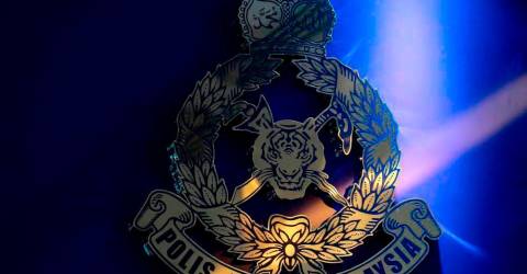 Polis kesan individu pakai pakaian ketenteraan di Majlis