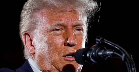 Trump team lashes out at Germany for censure of far-right group