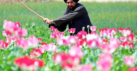 US drops bounties on top Afghan Taliban officials