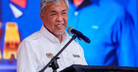 Cabinet agrees to put coconut under M’sian Cocoa Board’s purview - Ahmad Zahid