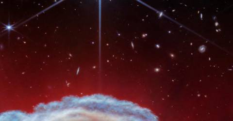 Il telescopio Webb cattura immagini straordinarie della “criniera” della Nebulosa Testa di Cavallo