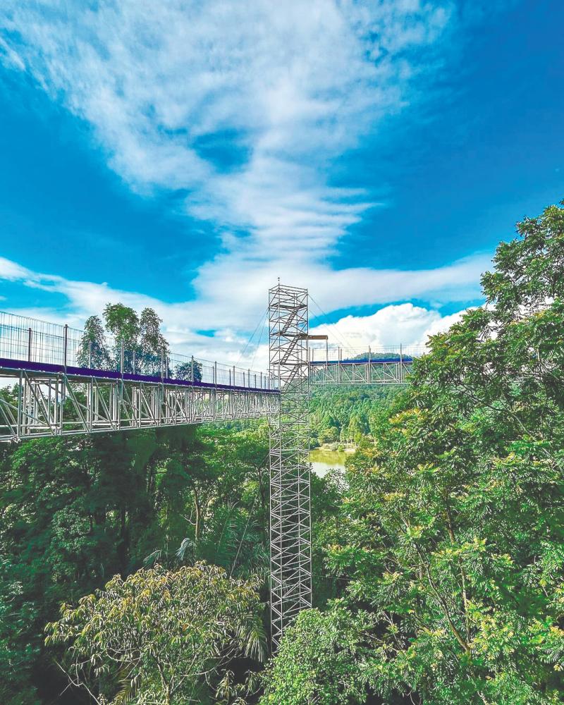 $!FRIM in Kepong is a beautiful place with nature trails, a canopy walk and lots of plants and trees. – PIC FROM INSTAGRAM @FRIMKEPONG