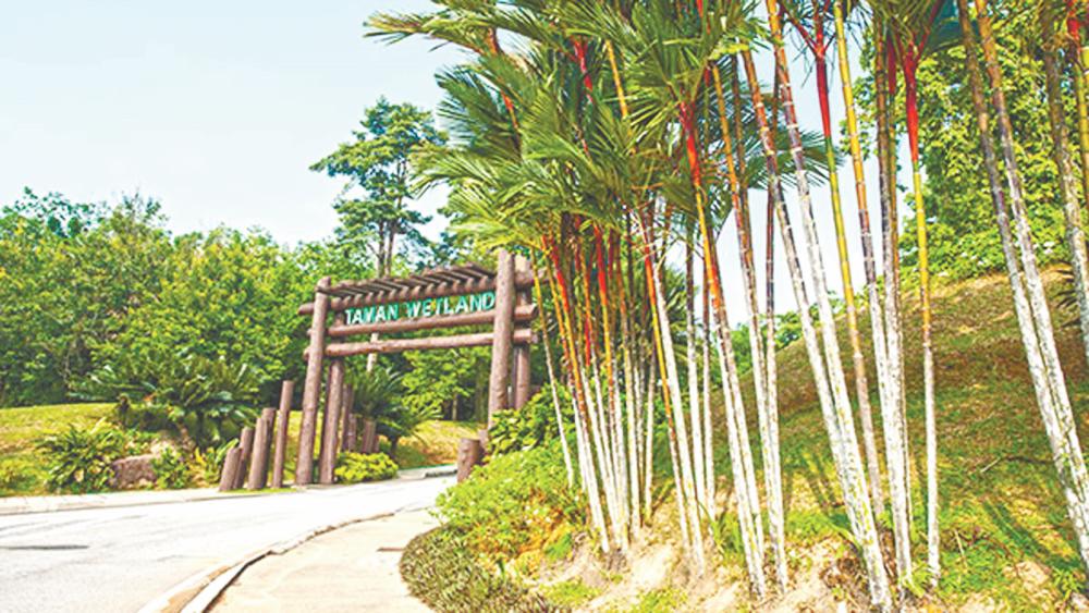 $!Putrajaya Wetland Park offers tranquil route surrounded by wetlands and wildlife. – PIC FROM YOUTUBE @VISITSELANGOR