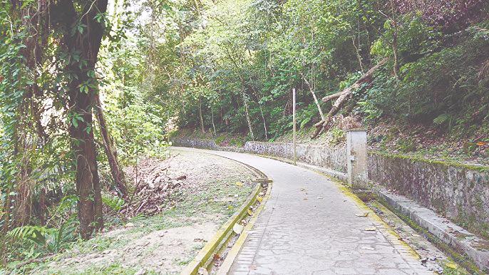 $!A forested retreat with scenic inclines for an invigorating workout awaits at Bukit Kiara Park. – PIC FROM YOUTUBE @4KWALKING