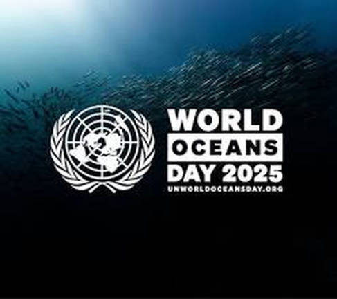 Pix for representational purposes. - World Ocean Day portal