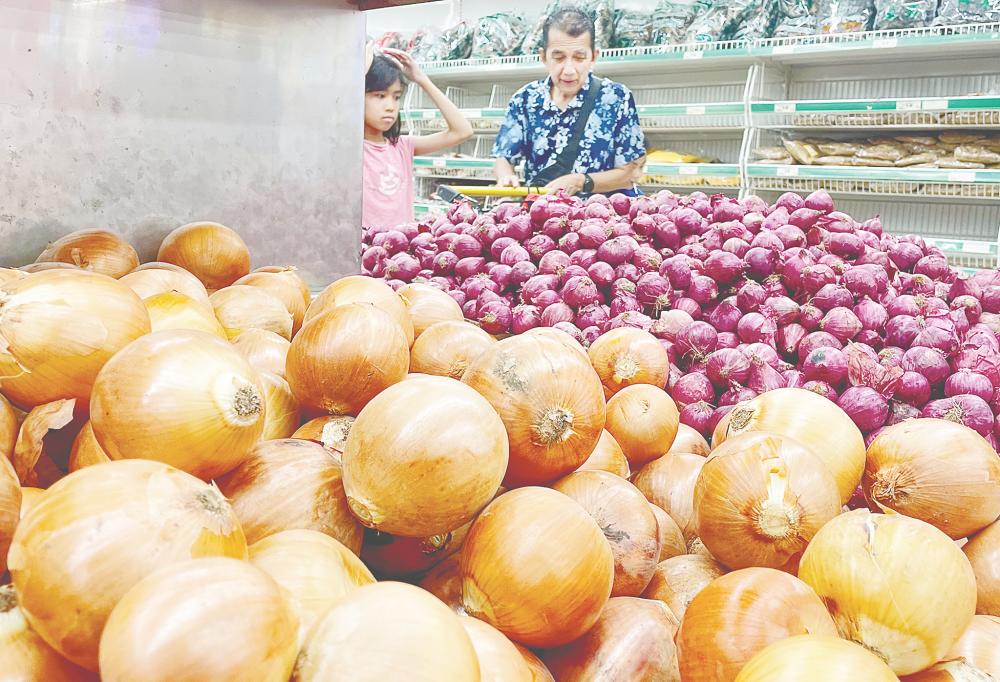 Norsida acknowledged the potential to reduce Malaysia’s reliance on imports, but cautioned that the future of onion farming locally remains uncertain. – ADIB RAWI YAHYA /THESUN