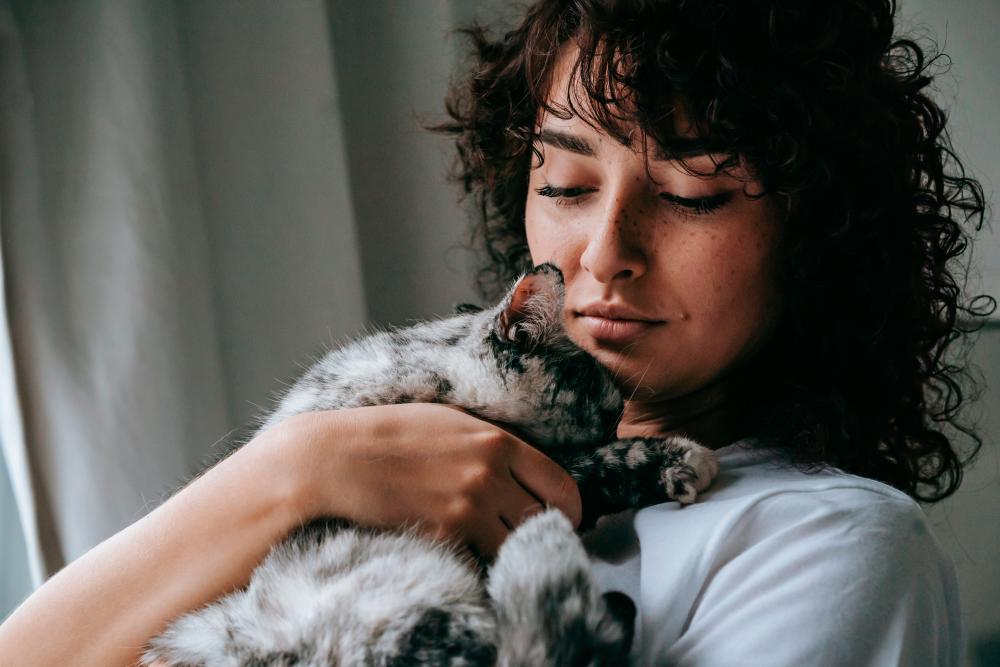 It is important to consider the well-being of pets by minimising loud noises and providing a safe and comfortable environment. $!It is important to consider the well-being of pets by minimising loud noises and providing a safe and comfortable environment.