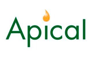 Apical Doubles Palm Oil Refining Capacity in West Sumatra, Indonesia