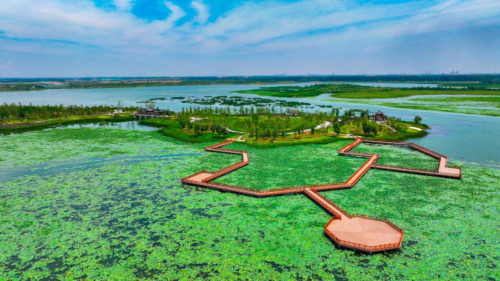 A corner of the Yannandi area in Baiyangdian.