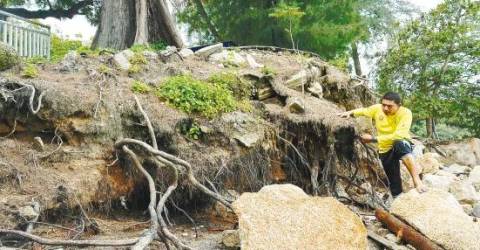 Govt urged to act swiftly in curbing coastal erosion