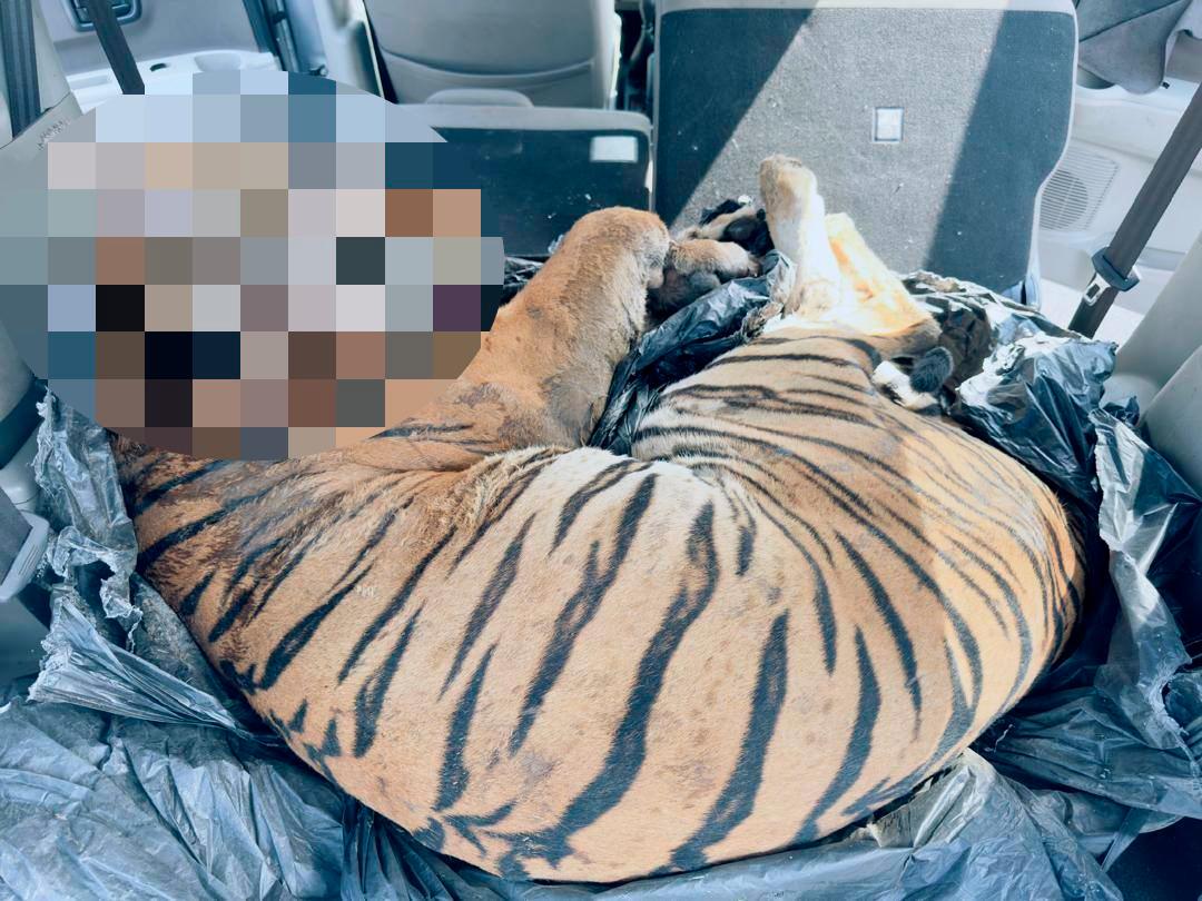 Credit - Jabatan Keselamatan Dalam Negeri &amp; Ketenteraman Awam PDRM/FBPIX