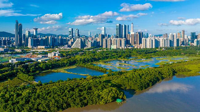 $!The Establishment Agreement of the International Mangrove Center was signed in Shenzhen, China