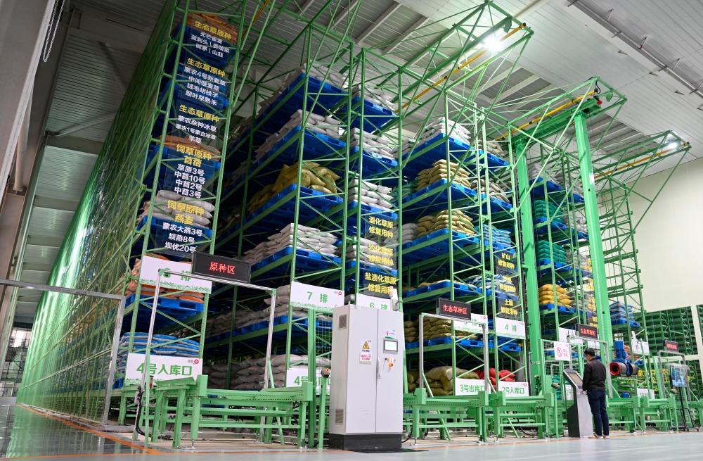 $!This photo taken on Nov. 4, 2024 shows the smart warehouse at M-Grass Ecological Environment (Group) Co., Ltd. in Hohhot, north China’s Inner Mongolia Autonomous Region.