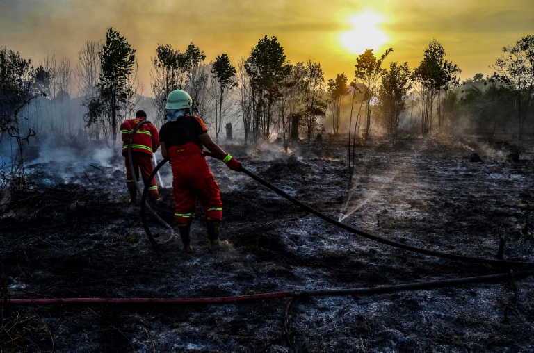 Forests worldwide have been logged and burned on an industrial-scale over the decades. — AFP