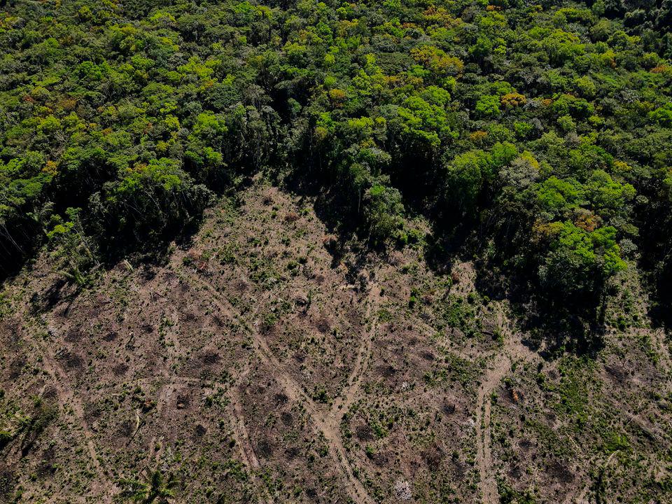 An aerial view shows a deforested plot of the Amazon rainforest in Manaus, Amazonas State, Brazil July 8, 2022. REUTERSpix