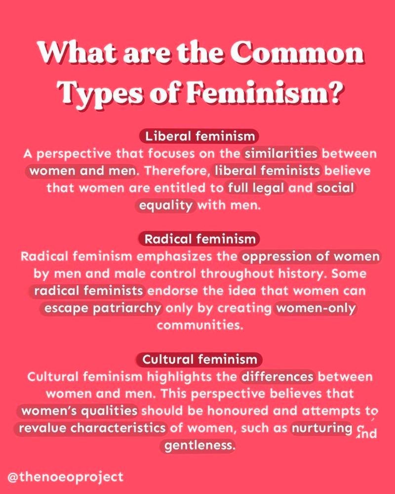 $!‘Feminism’. – PICTURE COURTESY OF THE NOEO PROJECT