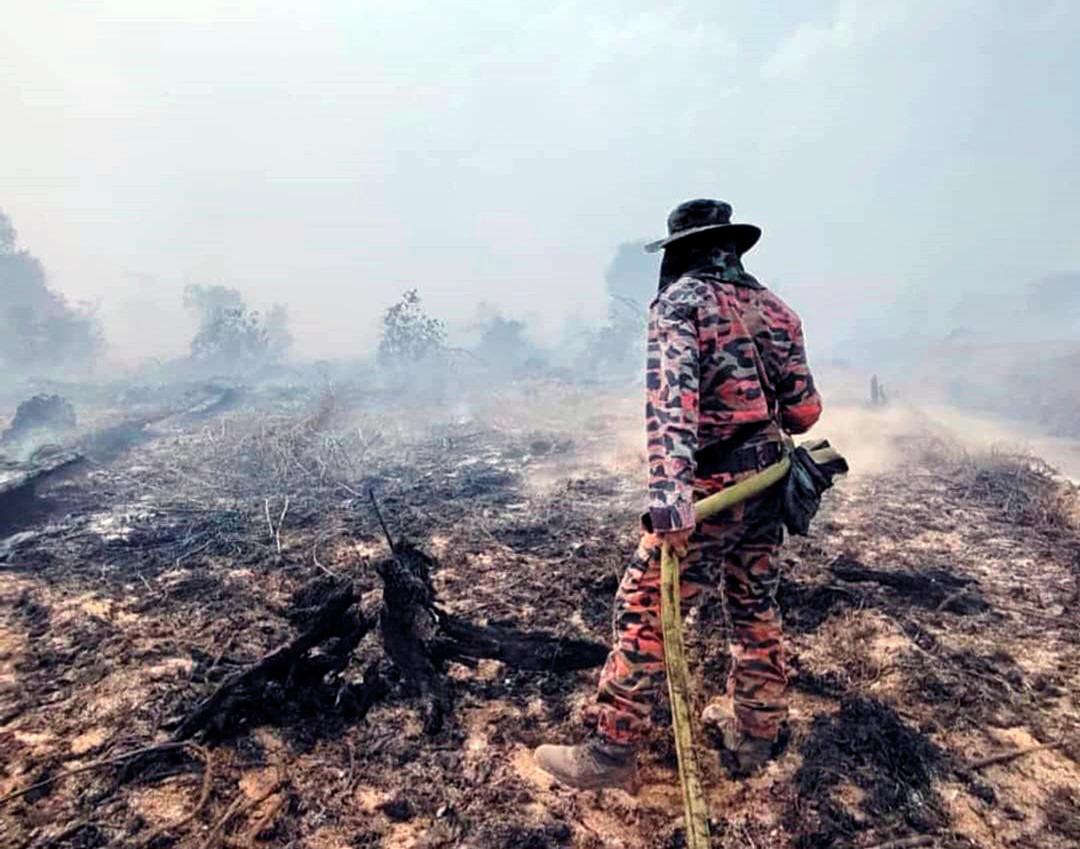 Wildfires raging in a huge plantation that had spread into forests and peatlands in Marudi district in northern Sarawak. - Joseph Peter/theSun