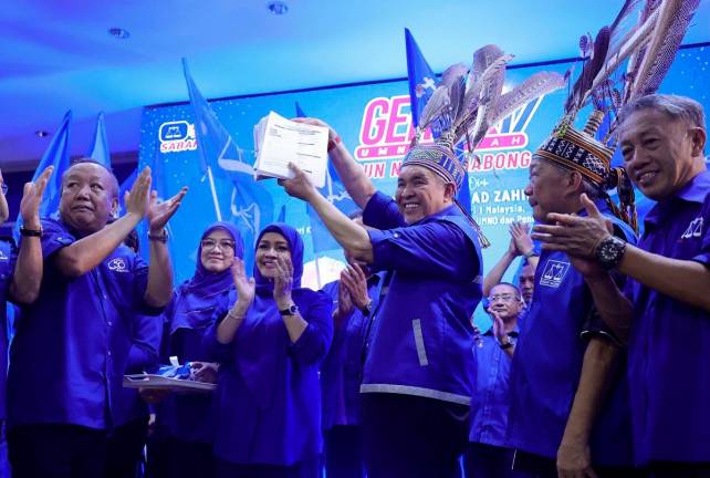 - BERNAMApix