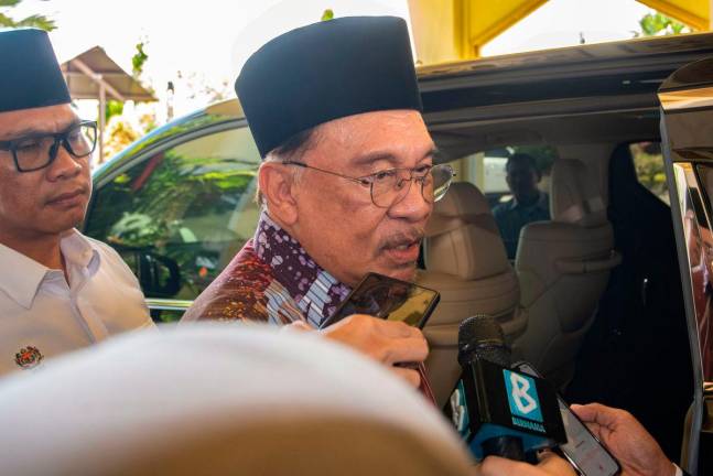BERNAMApix
