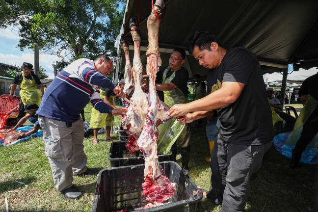 Sebahagian Warga Kampung Kangkar Tebrau berganding bahu bersama-sama melapah daging sempena Program Ibadah Korban di Masjid Kampung Kangkar Tebrau hari ini. - BERNAMApix