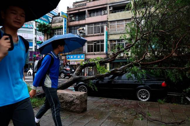 People walk past a fallen tree which landed on a car in Keelung on November 1, 2024, after Typhoon Kong-rey made landfall in eastern Taiwan on October 31. Typhoon Kong-rey slammed into Taiwan on October 31 as one of the biggest storms to hit the island in decades, whipping up 10-metre waves, triggering floods and claiming at least one life. - I-Hwa CHENG / AFP