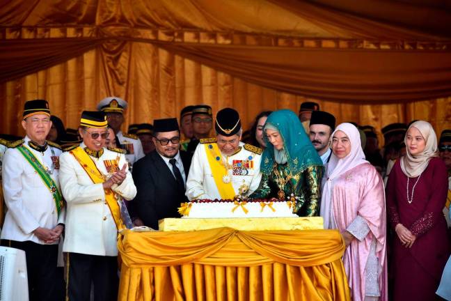 Bernamapix