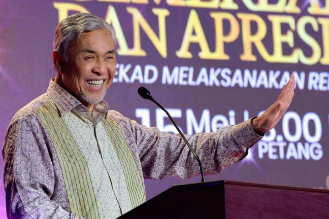 BERNAMApix