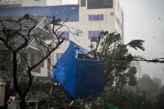 The debris of a destroyed fence is tangled in trees after Super Typhoon Yagi hit Hai Phong on September 7, 2024. Super Typhoon Yagi uprooted thousands of trees and swept ships and boats out to sea, killing one person, as it made landfall in northern Vietnam on September 7, after leaving at least 23 dead through southern China and the Philippines. - NHAC NGUYEN / AFP