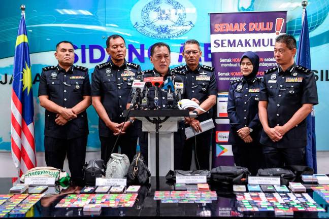 Bernamapix