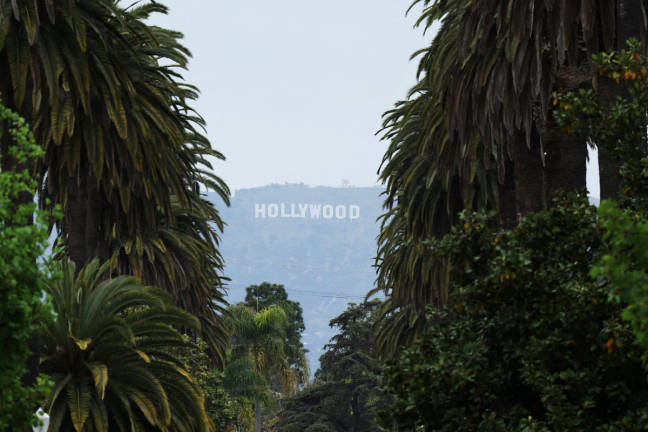 The Hollywood Sign is framed by palm trees as U.S. President Donald Trump unveils a 100% tariff on films made outside of the U.S., in Los Angeles, California, U.S. May 5, 2025. - REUTERS