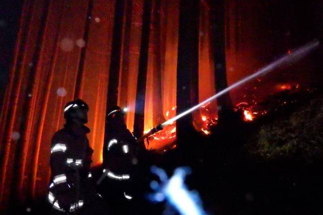 Firefighters battling a wildfire near the city of Ofunato, Iwate prefecture. AFP Pix