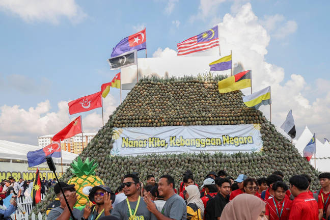 The public viewed the decorative pineapple mountain arrangement at the Official Launch of Malaysia Pineapple Day Celebration at Padang B, Plaza Angsana today. - BERNAMA
