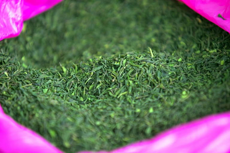 Ethiopia’s state-run Substance Rehabilitation Centre tackles khat usage, in a country where chewing the leafy stimulant is commonplace. — AFP