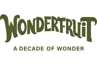 A Decade of Wonder: Wonderfruit Announces Programming through a Guide to Wonder