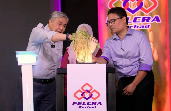 Deputy Prime Minister Datuk Seri Dr Ahmad Zahid Hamidi, (left) looks at the MRQ107 paddy after officiating the launching ceremony of the Padi Benih Wangi at FELCRA Plantation Services Sdn Bhd, Seberang Perak. - Bernama pic